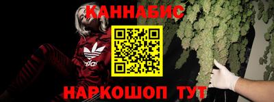 spice Владимир