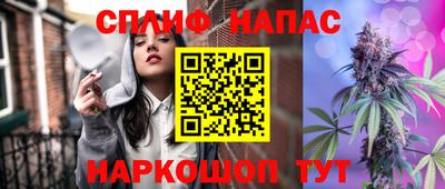 Альфа ПВП Владикавказ